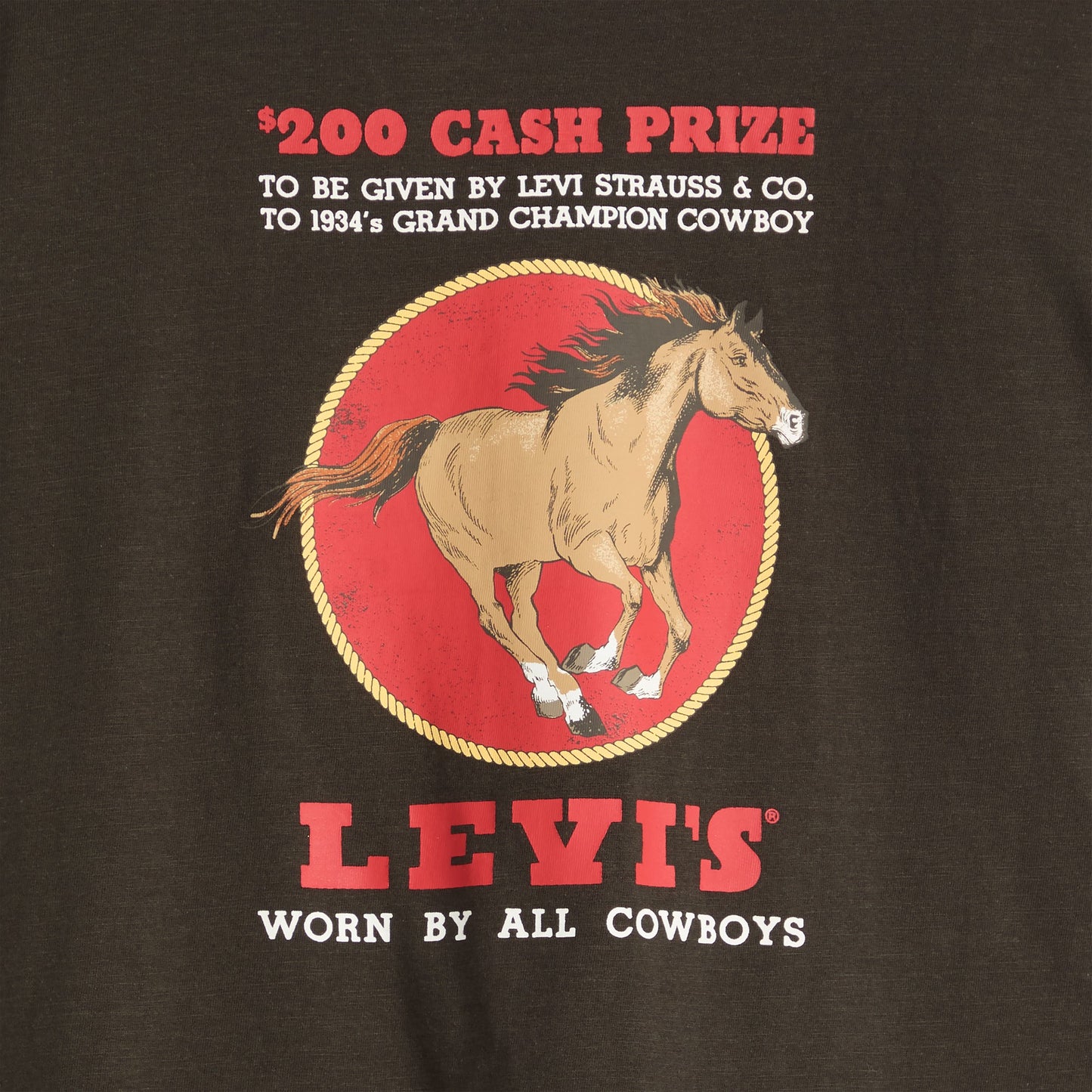 Levi's® Women's Graphic Boxy T-Shirt