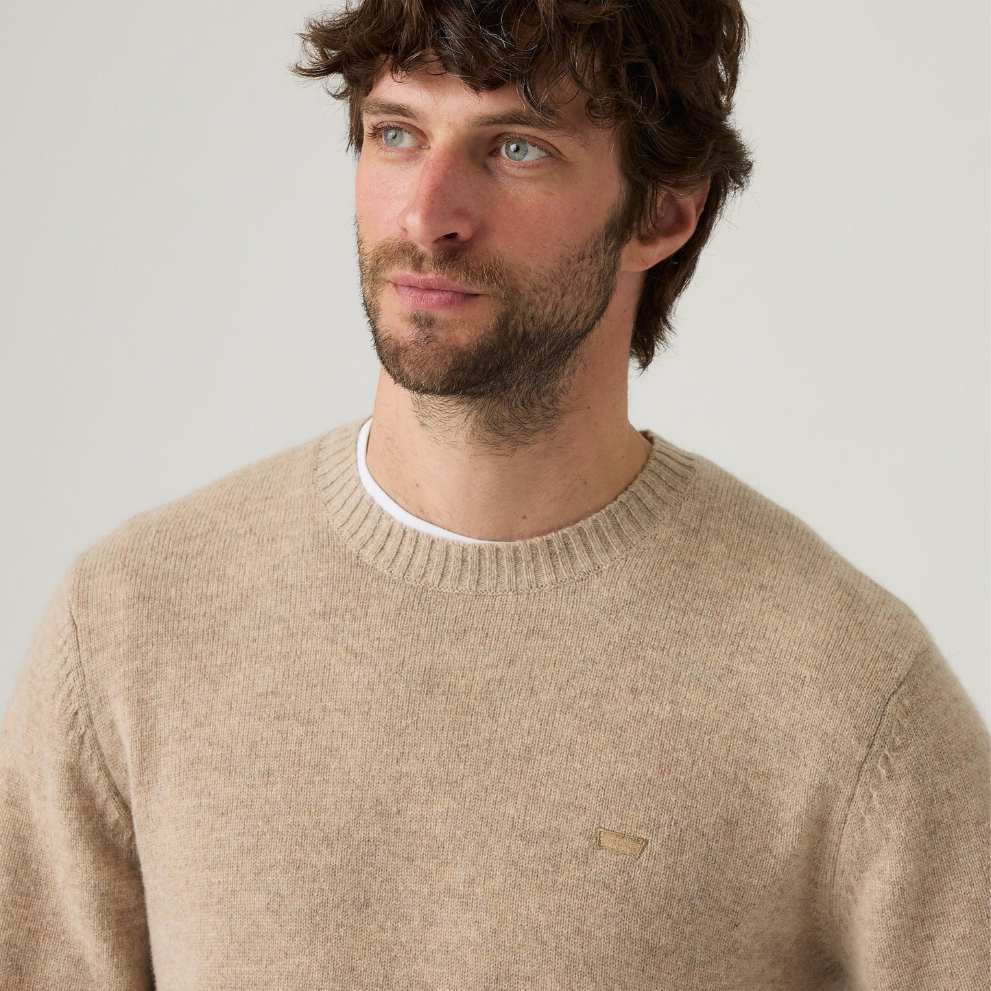 Levi's® Men's Original Housemark Sweater