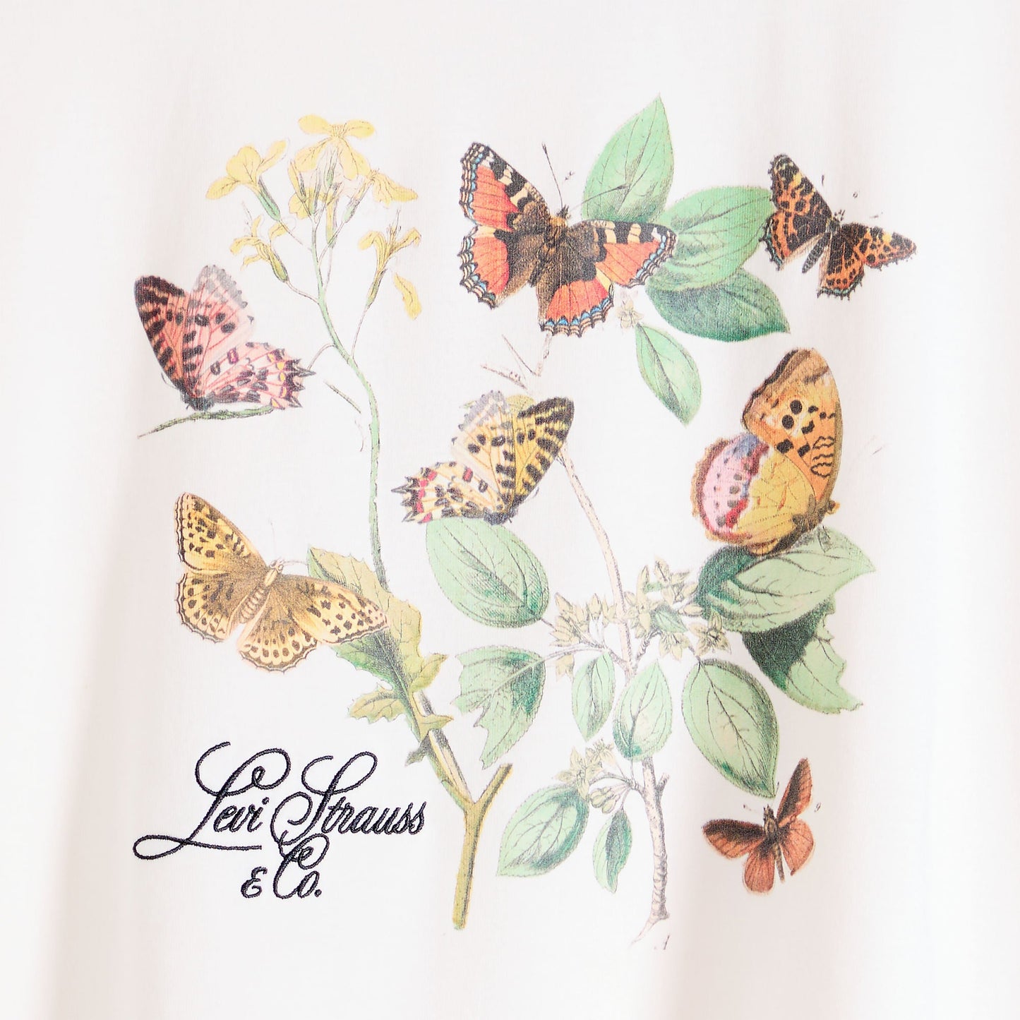 Levi's® Women's Graphic Tabor T-Shirt