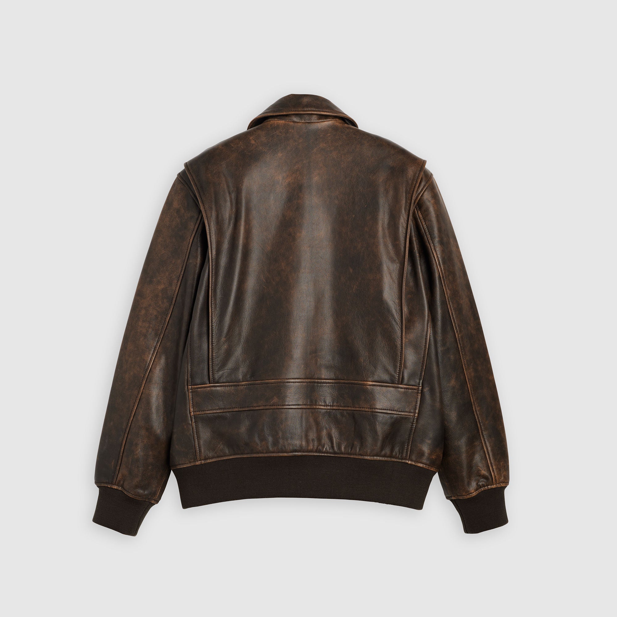 Levi's® Men's Clayton Leather Aviator Jacket