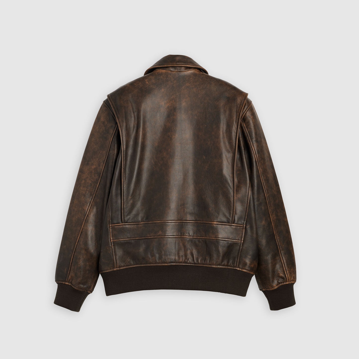 Levi's® Men's Clayton Leather Aviator Jacket