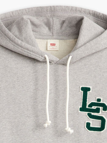 Levi's® Men's Standard Fit Graphic Hoodie