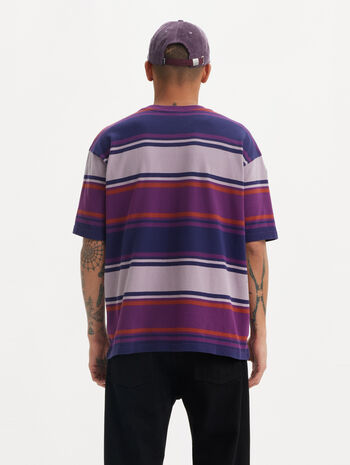 Levi's® Skateboarding Men's Graphic Boxy T-Shirt